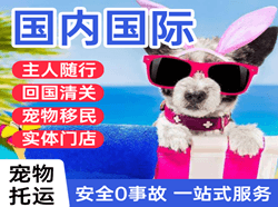 龙湾机场空运国际宠物托运 【国